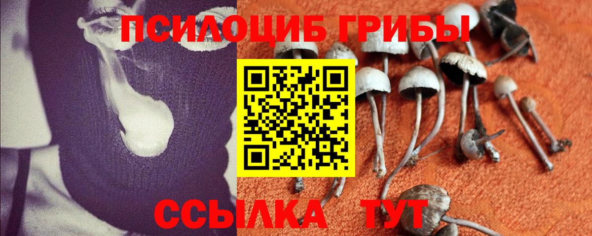 Аша  Псилоцибиновые грибы мицелий  Вход с VPN 